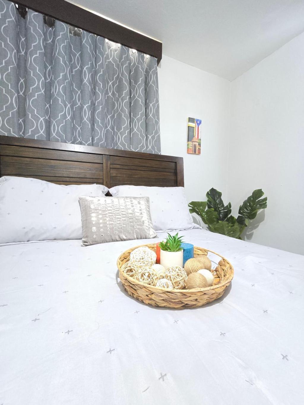 וגה באחה Casa Palmera מראה חיצוני תמונה