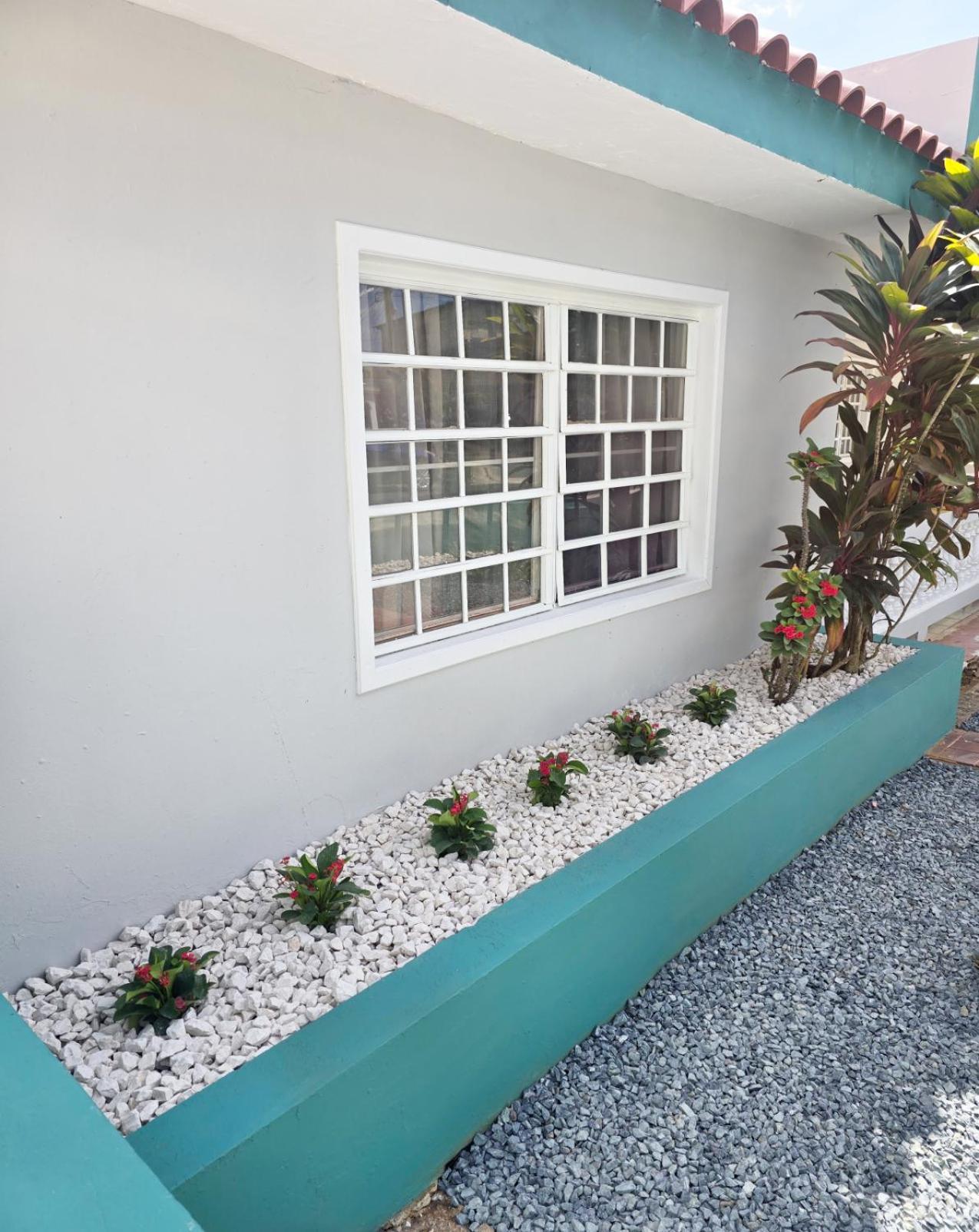 וגה באחה Casa Palmera מראה חיצוני תמונה