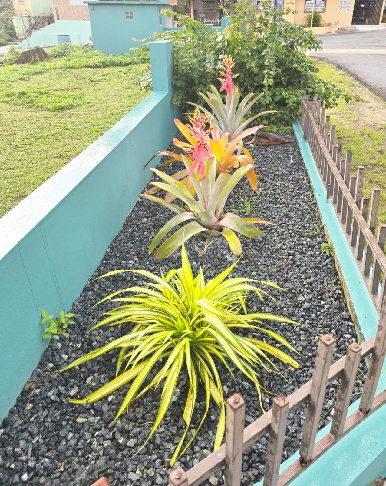 וגה באחה Casa Palmera מראה חיצוני תמונה